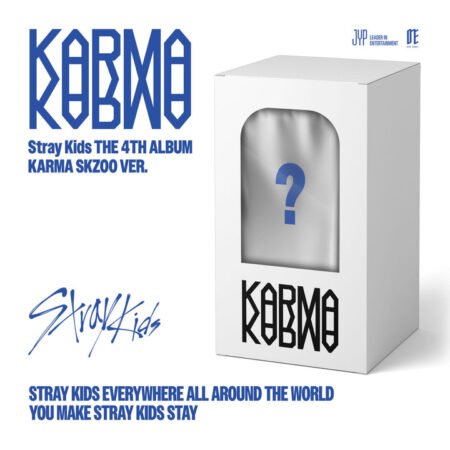 Stray Kids Smart Album SKZOO Version contents including keyring, NFC charm, photocards, and box